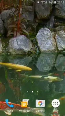 Koi Fish 3D android App screenshot 1