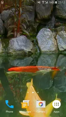 Koi Fish 3D android App screenshot 3