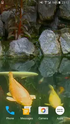 Koi Fish 3D android App screenshot 4